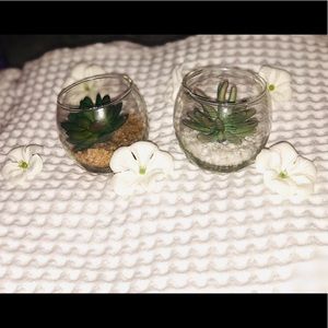 Succulent Artificial Arrangement Glass Terrarium
